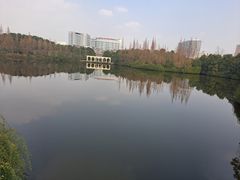 -成都南湖公园