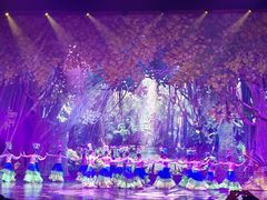 -勐巴拉娜西大剧院