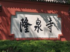 -百脉泉景区