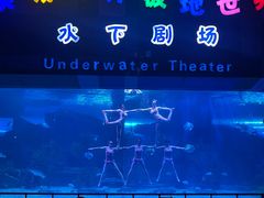 -泉城欧乐堡海洋极地世界