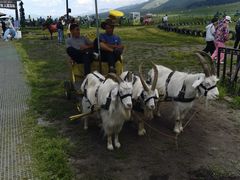 -新疆那拉提国家旅游度假区