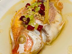 普宁豆酱蒸红慈鱼-Yan Ting 宴庭中餐厅(上海静安瑞吉酒店)