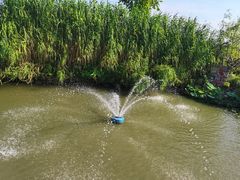-樂桃源奉贤黄桃种植采摘基地