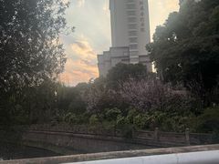 -兰溪青年公园