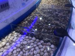 -澜悦港海鲜体验主题餐厅