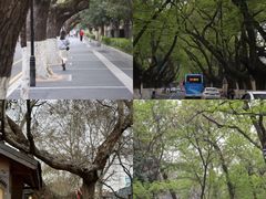 -颐和路民国时期公馆风貌区
