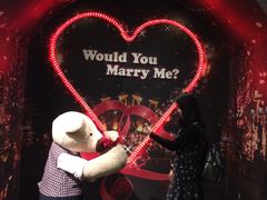 -济州岛泰迪熊博物馆