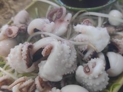 芥末白灼八爪鱼-贞姨美食·老字号海鲜大排档