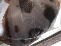 -大湾区中央湿地公园-十九涌