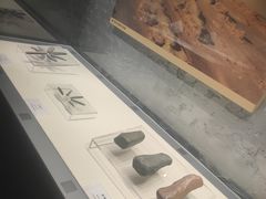 -巴音郭楞蒙古自治州博物馆
