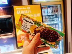 -哈根达斯(石家庄北国店)