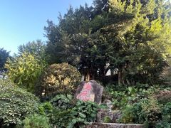 -乌山风景区