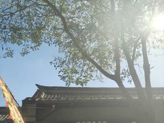 -老槐树煎包