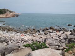 -广东惠东海龟国家级自然保护区