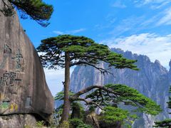 -黄山风景区