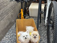 -出走咖啡·面包(宋庄店)