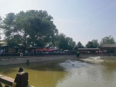-尚庄度假村·庭台树下·户外烧烤·团建CS·轰趴营地(上庄水库店)
