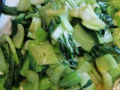 -全乐鱼馆·淳牌有机鱼直营店