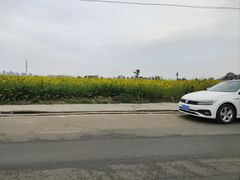 -三圣花乡旅游区