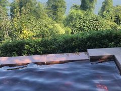 -天目湖涵田半山温泉