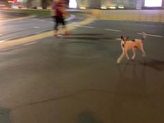 -六合夜市