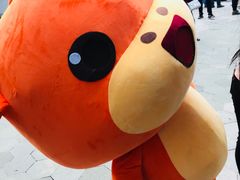 -深圳市富途网络科技有限公司