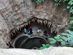 -南山植物园