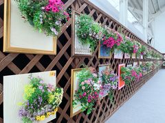 -杭州师范大学(下沙校区)