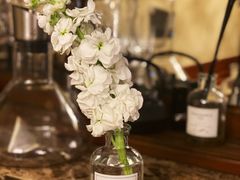 -秦美花卉(天朗·莱茵小城2期店)