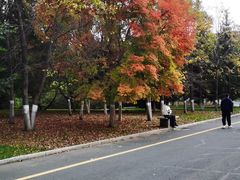 -长春世界雕塑园冰雪艺术天地