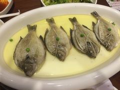-大秦地·西北菜(纬四路店)