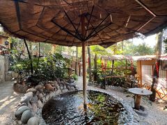 -云涛森林温泉