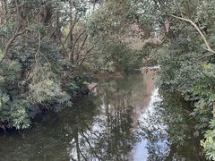 -上海滨江森林公园