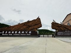 -茅兰沟国家森林公园