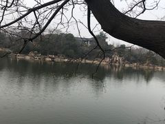 -白马涧龙池景区
