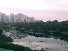-聚龙山公园