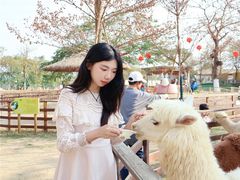 -盈香心动乐园