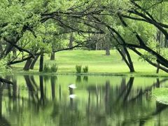 -上海共青森林公园