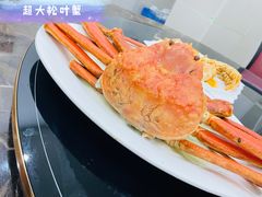 -蚝专家(北滘店)