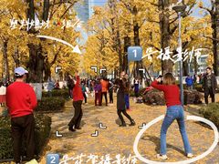 -百林公园-两江幸福广场