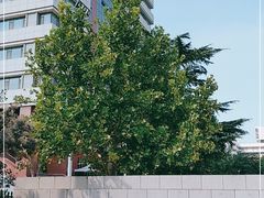 -山东大学(千佛山校区)