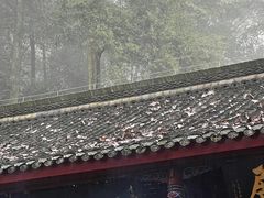 -青城山