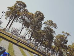 -滆湖低碳生态公园
