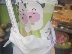-一只酸奶牛(春熙路店)
