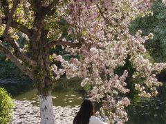 -沈阳植物园