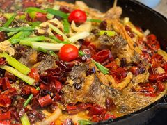 -老板恋上鱼(恒隆广场店)