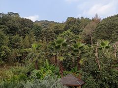 -汇雅温泉