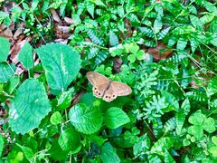 -宁波五龙潭景区