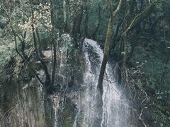 -西岭雪山大飞水景区