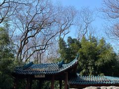 -赭山公园
